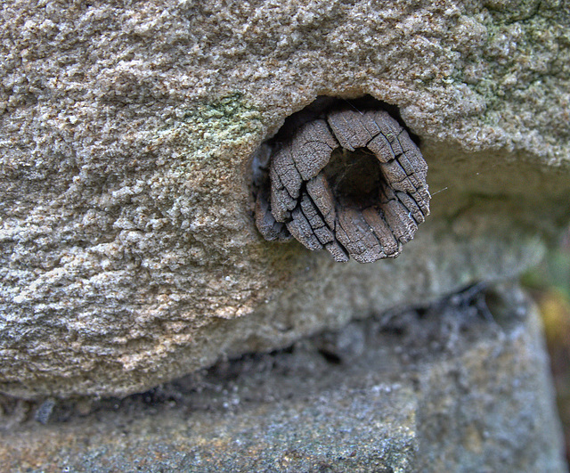 It's In The Wall 1