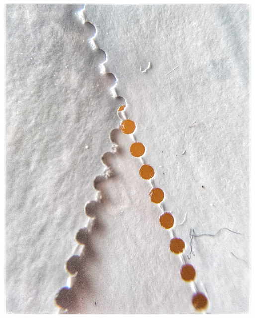 Perforation Perforation