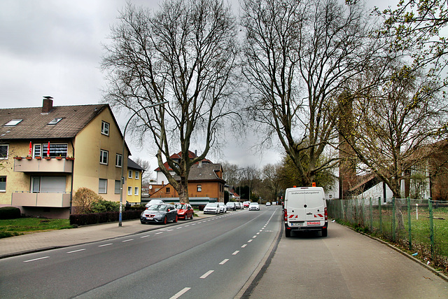 Im Karrenberg (Dortmund-Kirchderne) / 4.04.2021