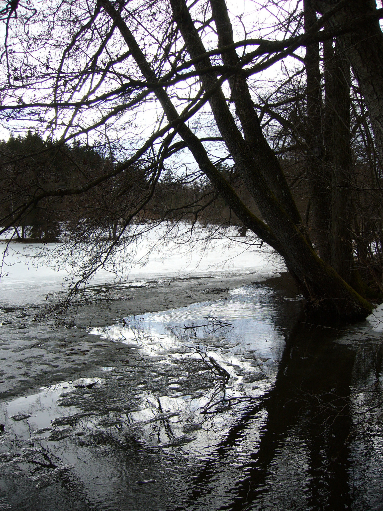 Trauerspiel