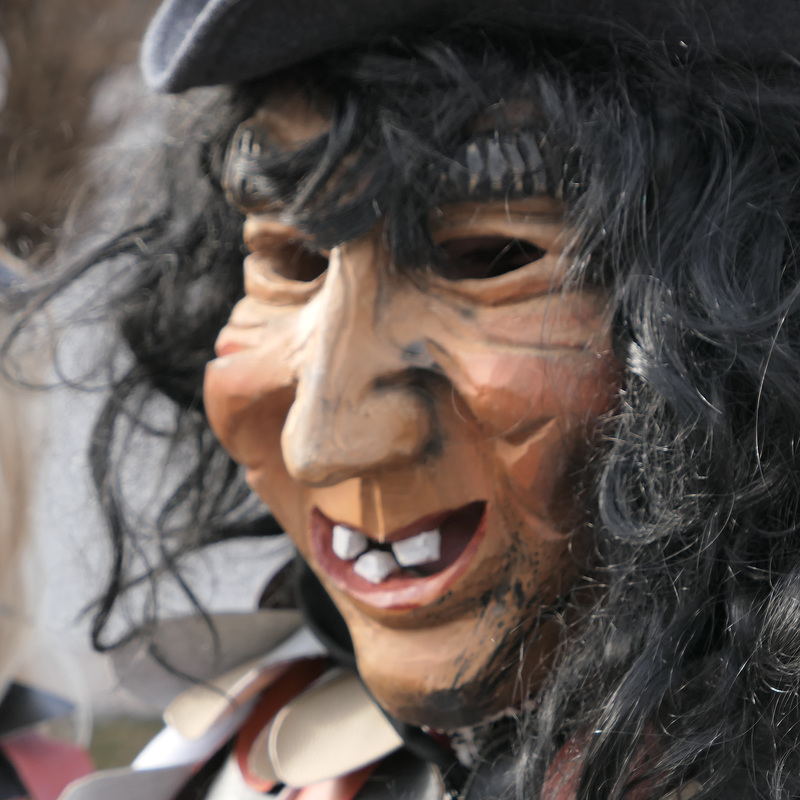 Altastadtr Faschingsomzug 2019 (pip)