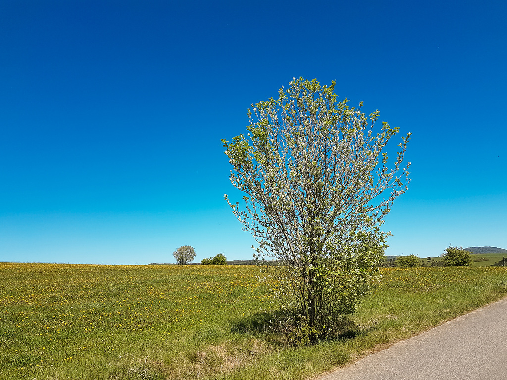 Blankenheim Ahrdorf