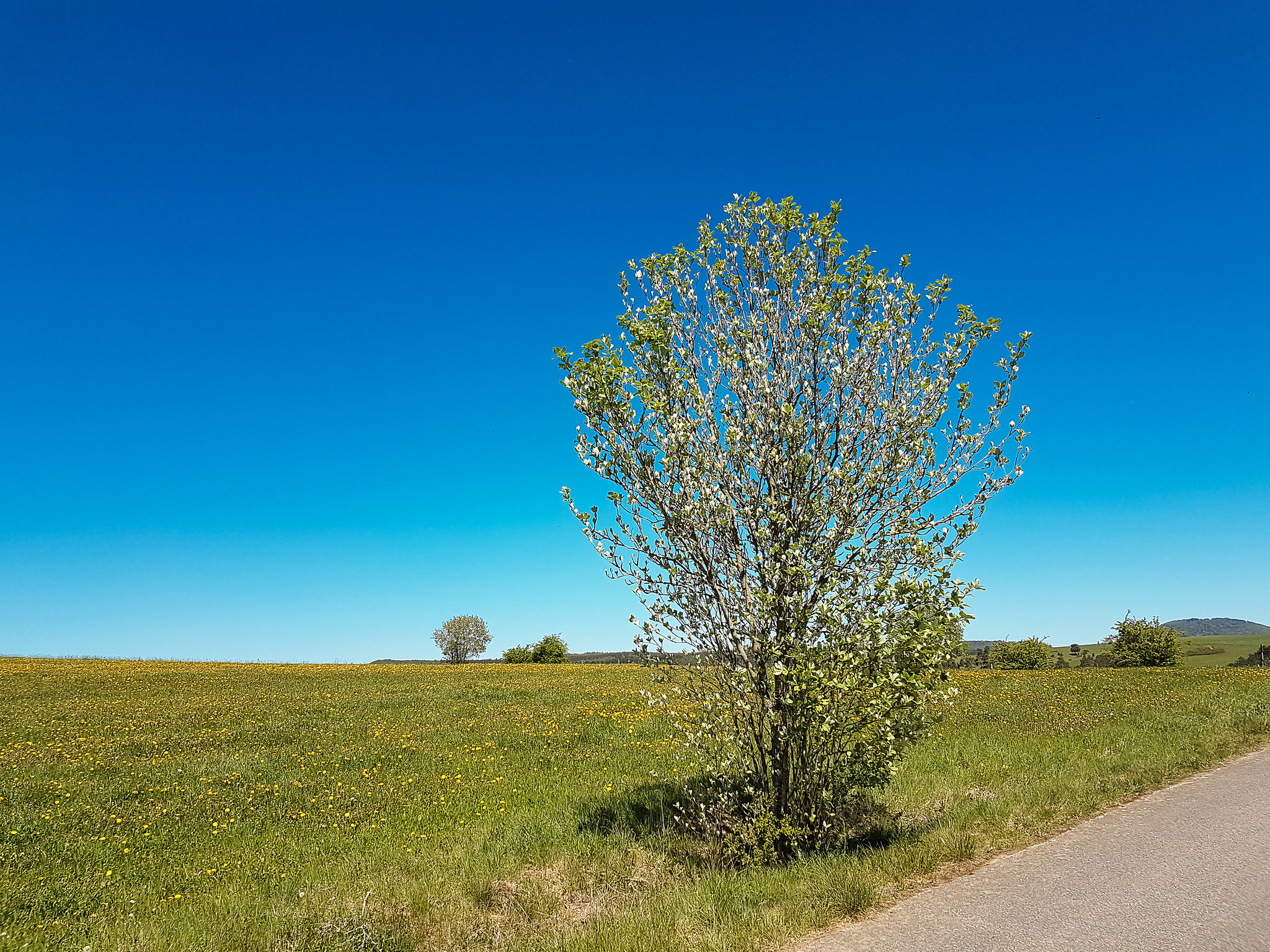 Blankenheim Ahrdorf