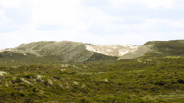 Wanderdüne auf Sylt