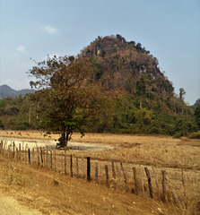 Laos countryside wonder / La merveilleuse campagne laotienne