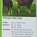 20220422 0656eCPw [D~HF] Thüringer Wald Ziege, Herford
