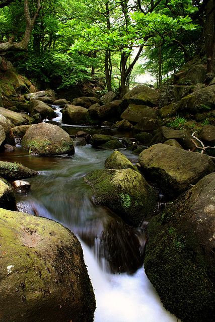 Burbage Brook cascades 1