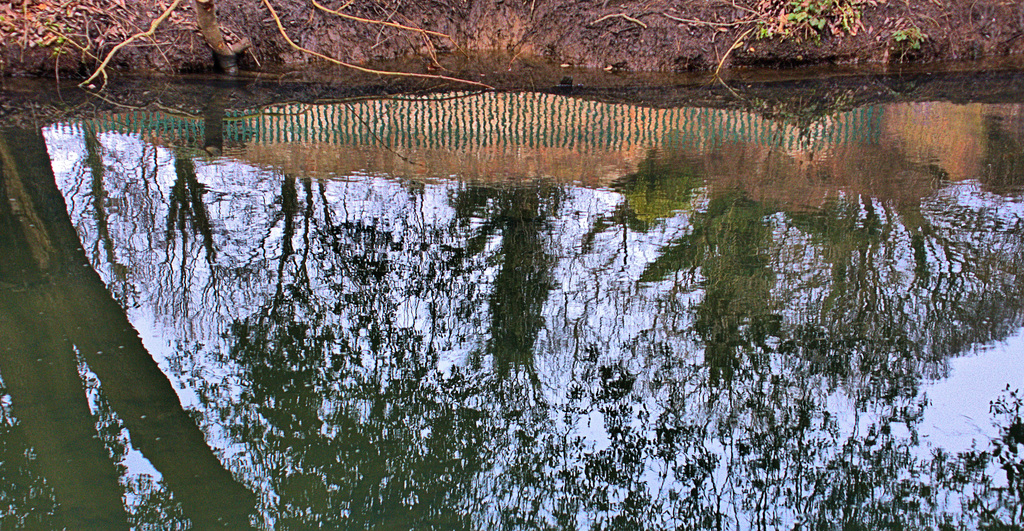 Ripples and Reflections