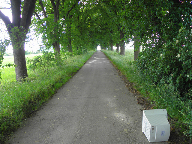 Computer Lane