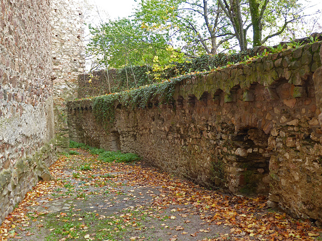 Die Wand am Auerbacher Schloß