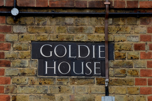 Goldie House