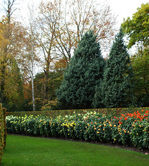 Anglesey Abbey 2011-11-04 015