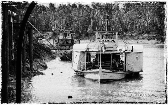 More on the Murray paddle steamers