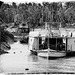 More on the Murray paddle steamers