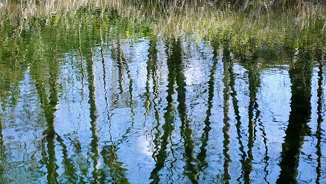 Reflektionen