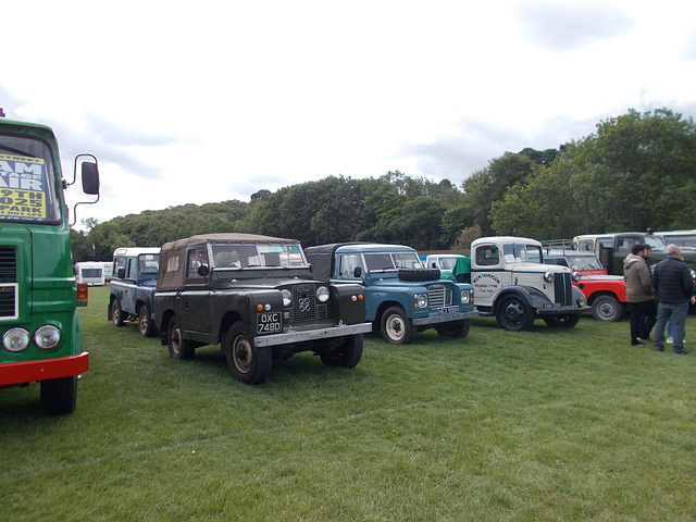 STTES[25] - Landrovers & light commercials