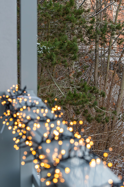 331-365, Adventsgelichter