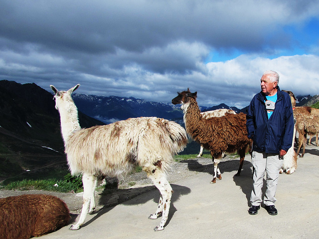 Hautes Pyrénées -juin 2015