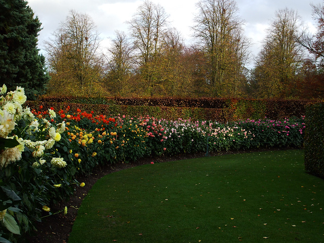 Anglesey Abbey 2011-11-04 014