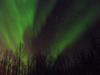 3Aurora3-1-17