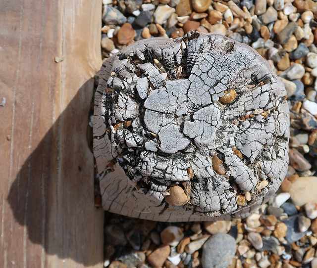 Groyne