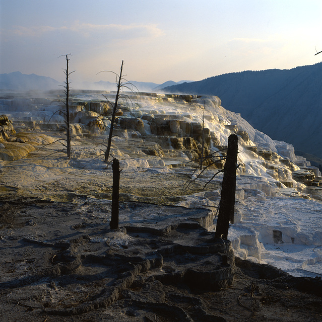 Mammoth Hot Springs