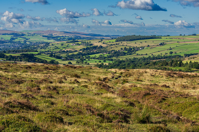 a View Over Matley Moor to SW