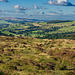 a View Over Matley Moor to SW