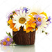 depositphotos 14858387-stock-photo-beautiful-bouquet-of-bright-wildflowers