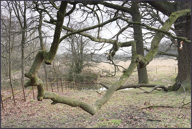 ''A Happy fence Friday'' to all - and 'Good wishes' too... from > Dj.