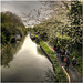 The Oxford Canal at Wolvercote