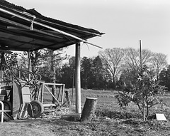 Hut in the field