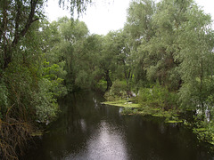 Речка Остер / Oster River