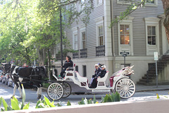Choice #2 ...Ways to tour the Historic District~~  Savannah, Georgia,   U S A