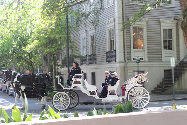 Choice #2 ...Ways to tour the Historic District~~  Savannah, Georgia,   U S A