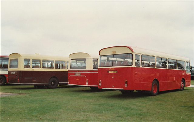 Buses at Showbus, Duxford – 26 Sep 1993 (206-1)