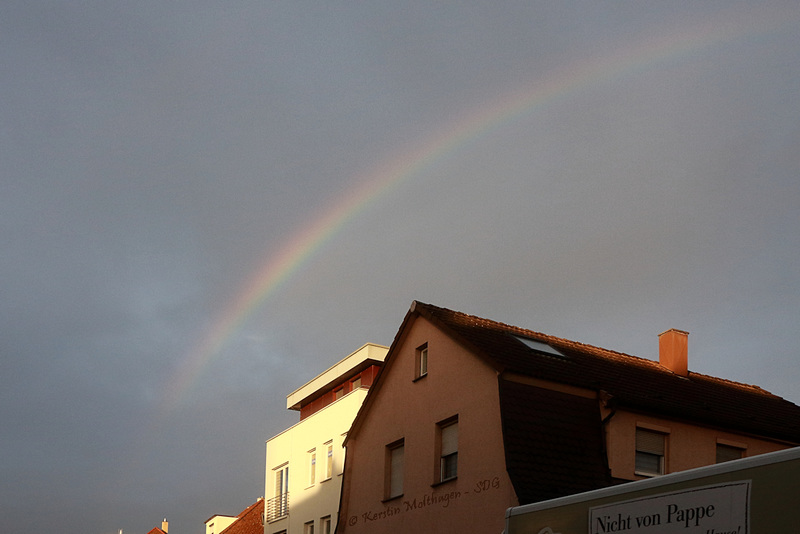 Regenbogen über Ditzingen