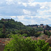 The Rooftops Of Florence