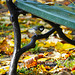 Im herbstlichen Park - In the autumnal park