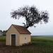 Flinksberg, Wegkapelle Gegeißelter Heiland (PiP)