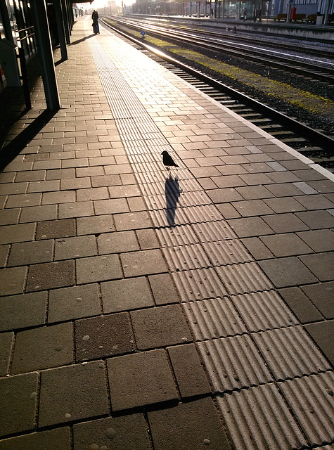 Walking on the platform