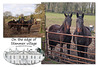 Horses on the edge of Stanmer Village - 1.4.2016