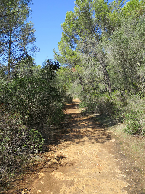 Path to Cala Trebaluger