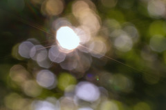 Warten auf Sonne