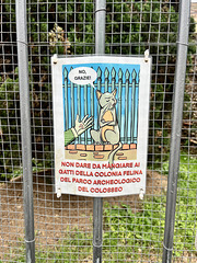 Rome 2025 – Forum Romanum – Non dare da mangiare ai gatti della colonia felina del parco archeologico del Colosseo
