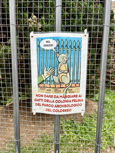 Rome 2025 – Forum Romanum – Non dare da mangiare ai gatti della colonia felina del parco archeologico del Colosseo