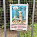 Rome 2025 – Forum Romanum – Non dare da mangiare ai gatti della colonia felina del parco archeologico del Colosseo