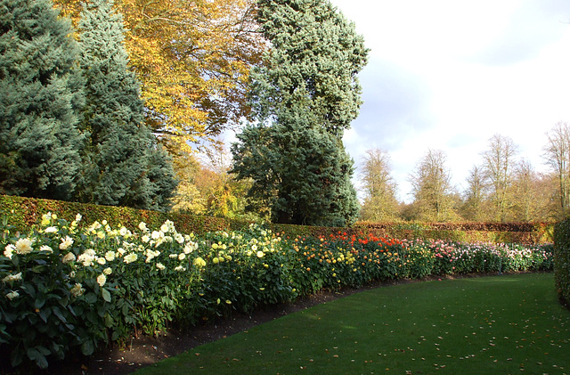 Anglesey Abbey 2011-11-04 010