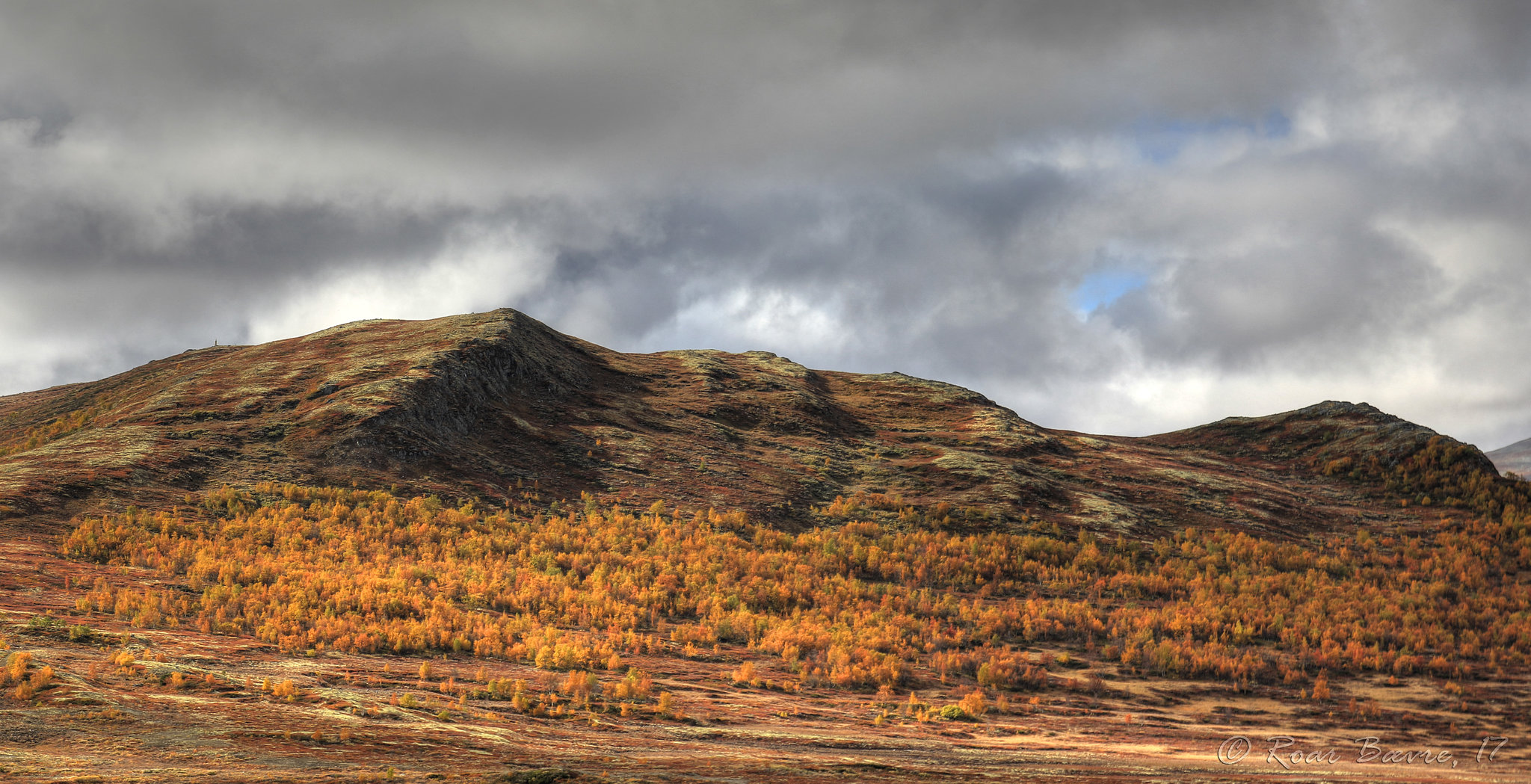 Dovrefjell mountains