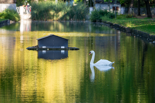 Köln Lindenthal - Rautenstrauchkanal